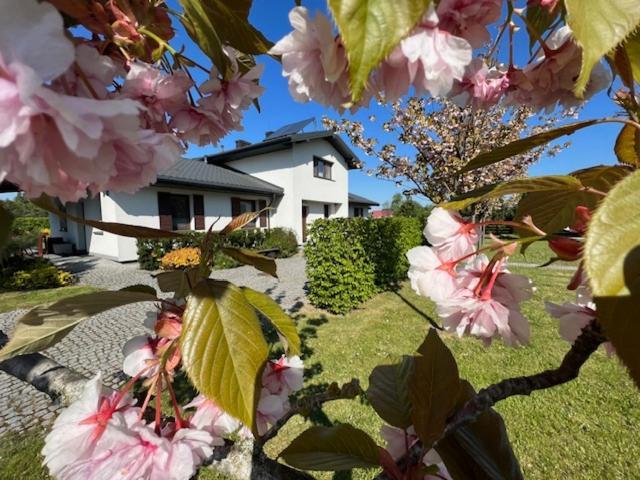 Na Skraju Puszczy Villa Hajnówka Exterior foto